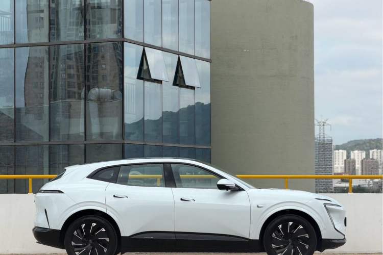 Used  07 2024 Pro Pure Electric Version
