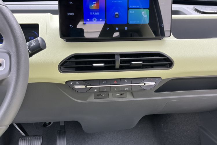 Used  Panda 2024 Panda Mini 200km Endurance Bear
