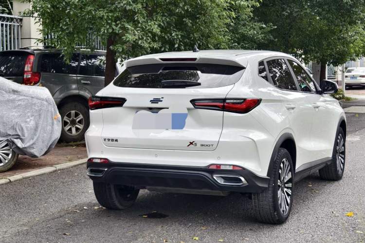 Used Oshan X5 2023 Enjoy Edition 1.5T DCT Luxury Model
