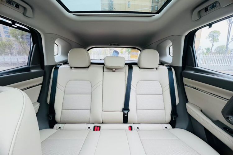 Used Haval H Dog New Energy 
