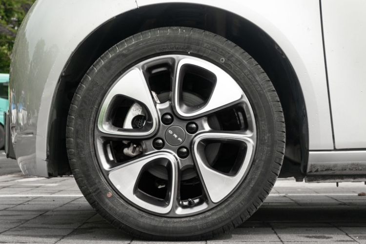 Used ORA White Cat 2020 305 km Luxury Version
