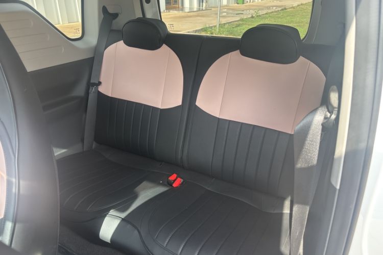 Used  Panda 2024 Panda Mini 200km Endurance Bear
