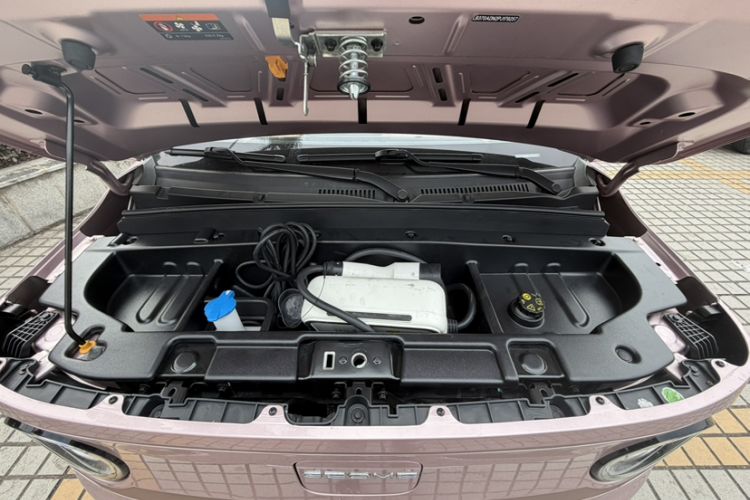 Used  Panda 2023 Panda Mini 200km Endurance Bear
