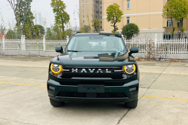 Used Haval H Dog New Energy 
