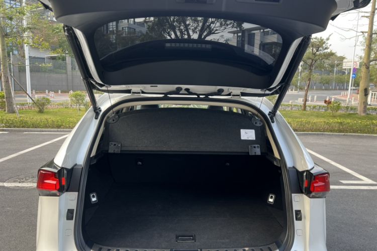 Used Lexus NX 2020 300h Front-Drive FENGSHANG Version China VI Standard