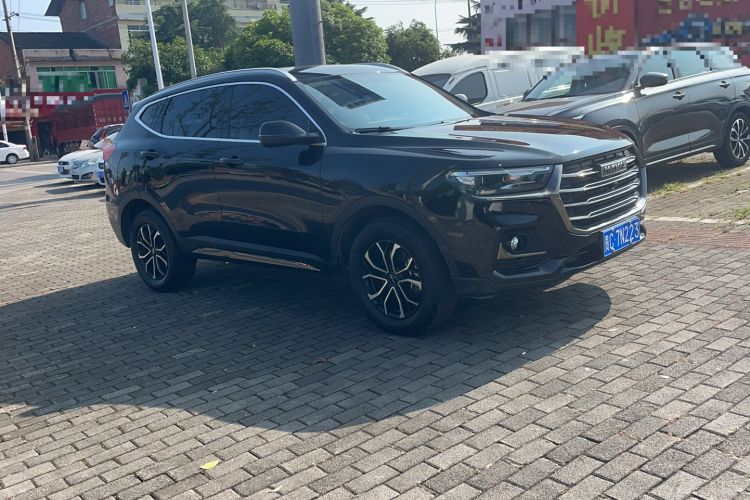 Used Haval H6 2021 National Trend Edition 1.5T Automatic Urban Version
