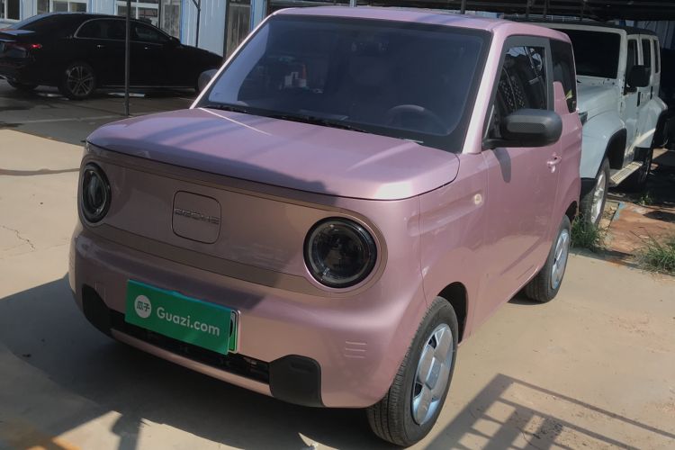 Used  Panda 2023 Panda Mini 200km Endurance Bear
