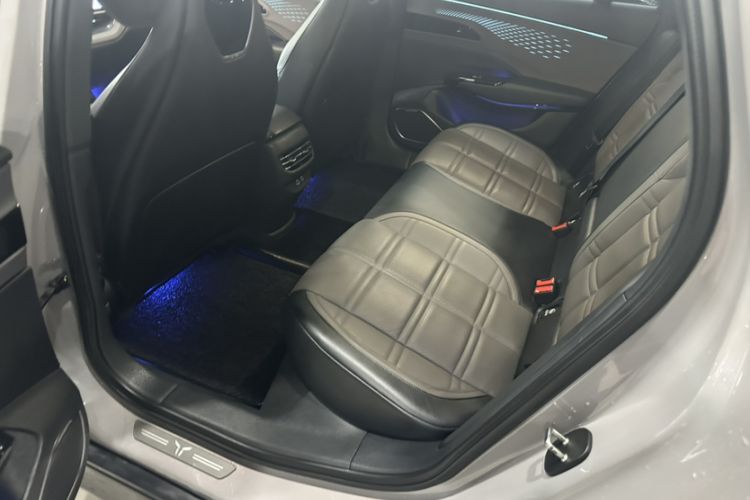 Used Hongqi EH7 2024 760 Pro+ Four-Wheel Drive Version
