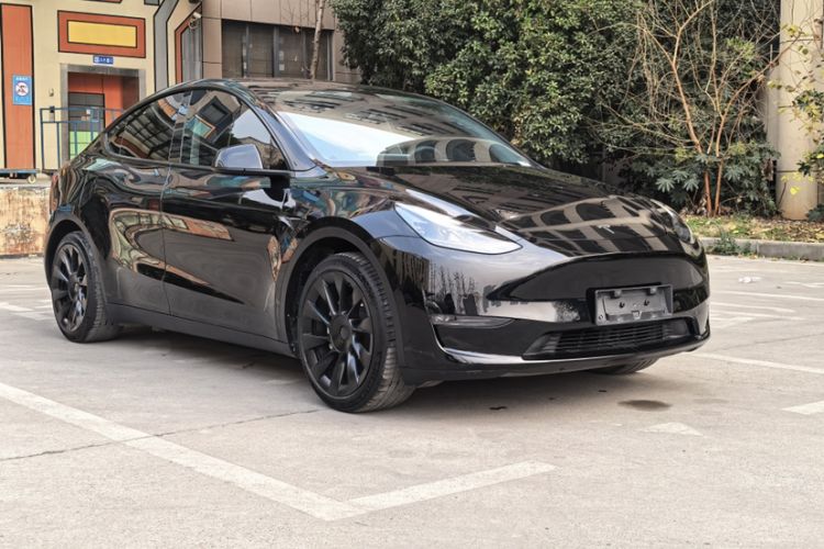 Used Tesla Model Y 2021 Standard Range Rear-Wheel Drive Version
