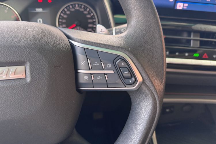 Used Haval H6 2021 National Trend Edition 1.5T Automatic Urban Version
