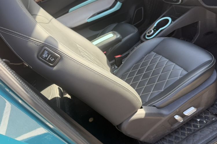 Used Chery Little Ant 2021 200 000-Yuan Ant Fan Edition Energized Version Lithium Iron Phosphate 301 km