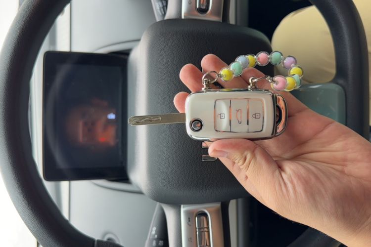 Used  Lumin 2023 205km Xiangqin Version
