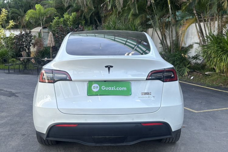 Used Tesla Model Y 2021 Long-Range All-Wheel-Drive Version