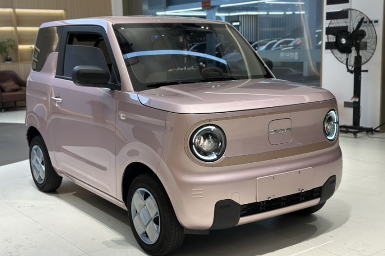 Used  Panda 2024 Panda Mini 200km Endurance Bear
