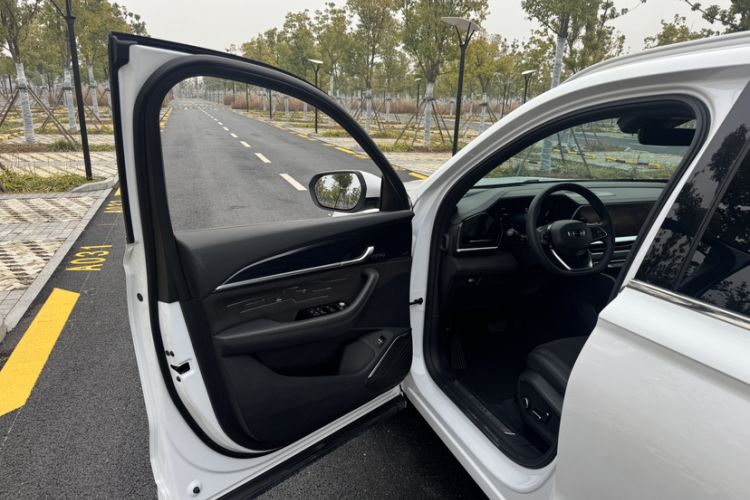 Used Geely Auto Monjaro L 2024 2.0TD High-Power Automatic Two-Wheel Drive Skyline Edition
