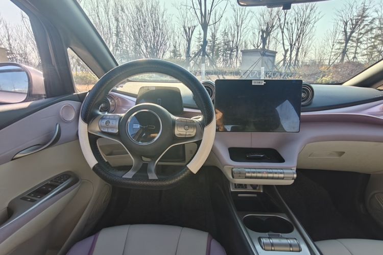 Used BYD Dolphin 2021 405 km Free Version
