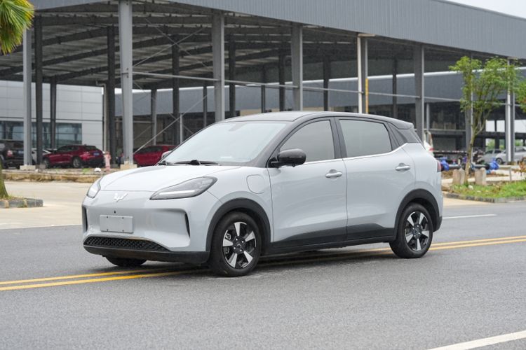 Used Wuling Bingo PLUS 2024 510 km Flagship Edition Four-Seater Version
