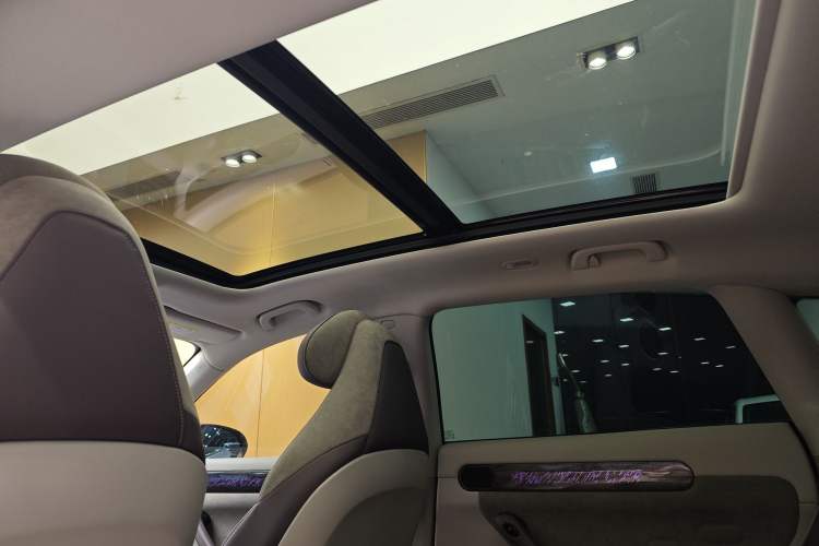 Used Leapmotor C11 2021 Performance Edition
