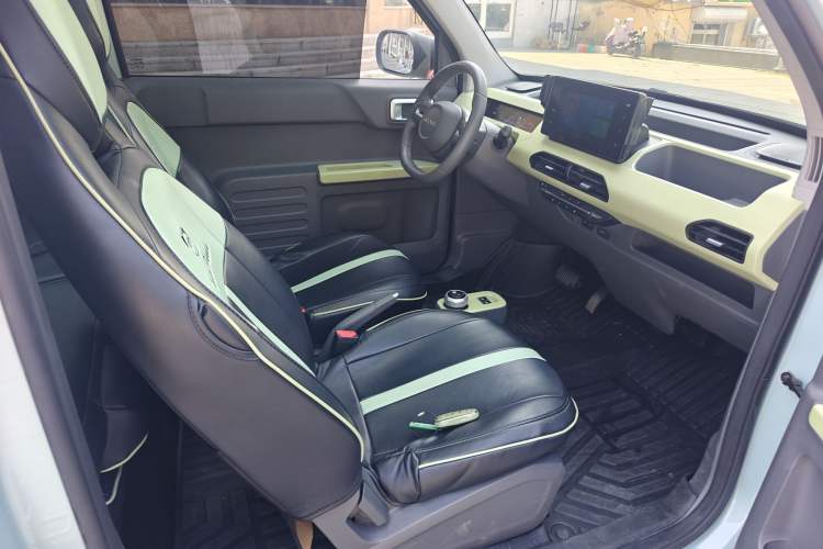 Used  Panda 2023 Panda Mini 200km Dynamic Bear
