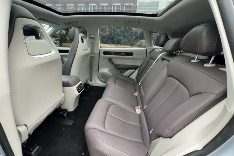 Used Leapmotor C11 2023 Pure Electric 500 Comfort Edition