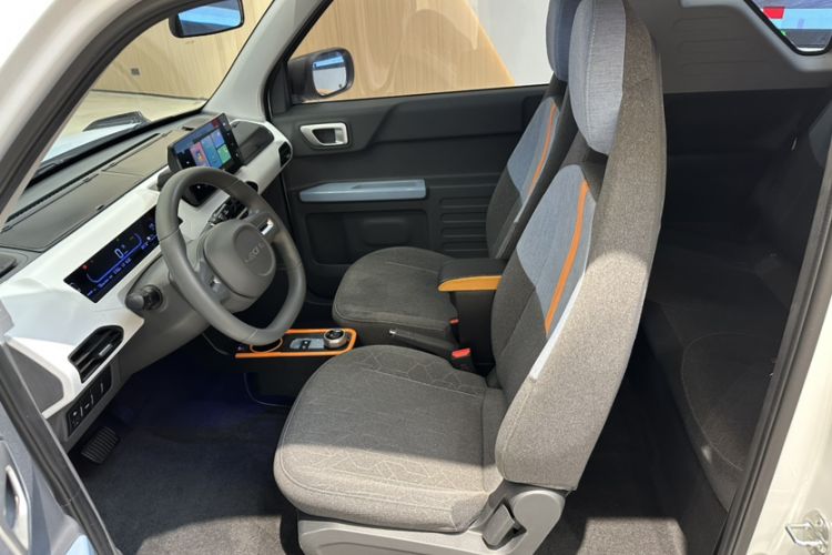 Used  Panda 2024 Panda Mini 200km Endurance Bear