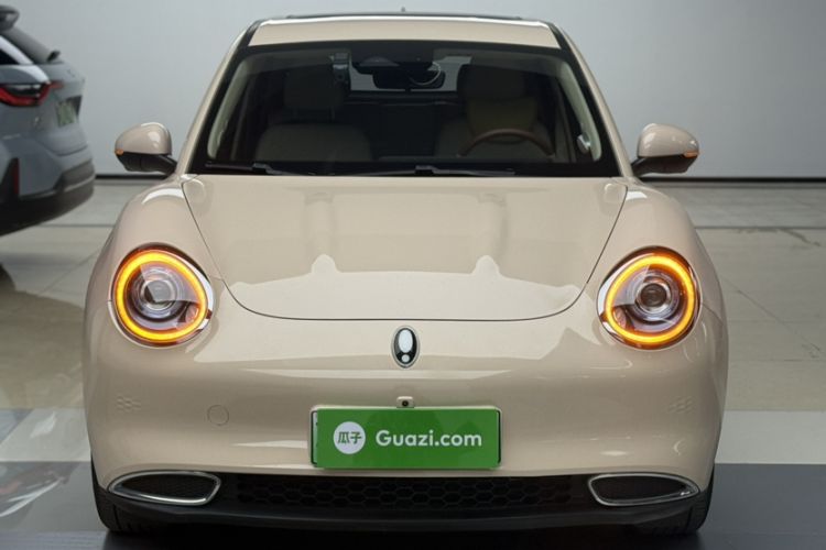 Used ORA Good Cat 2021 400km Standard Range Venus Edition Lithium-Ion Battery
