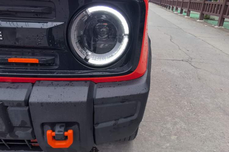 Used  Panda 2024 200km Panda Rider
