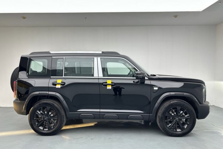 Used Haval Raptor New Energy 
