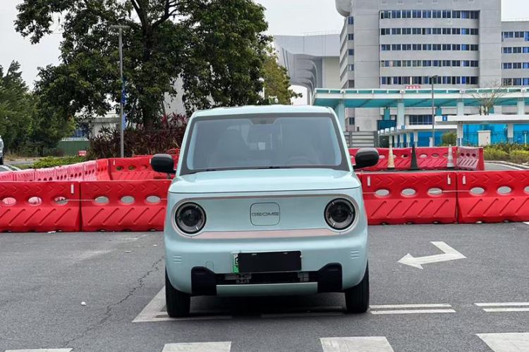 Used  Panda 2023 Panda Mini 200km Endurance Bear
