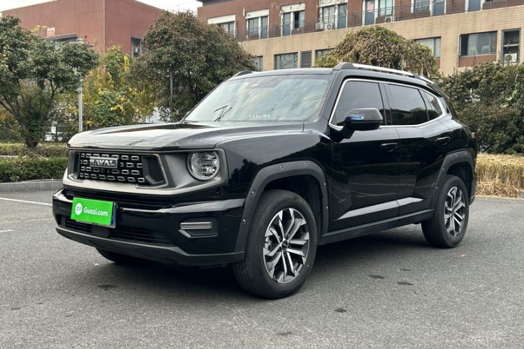 Used Haval  2023 2.0T Two-Wheel Drive Chaoye Version Plus
