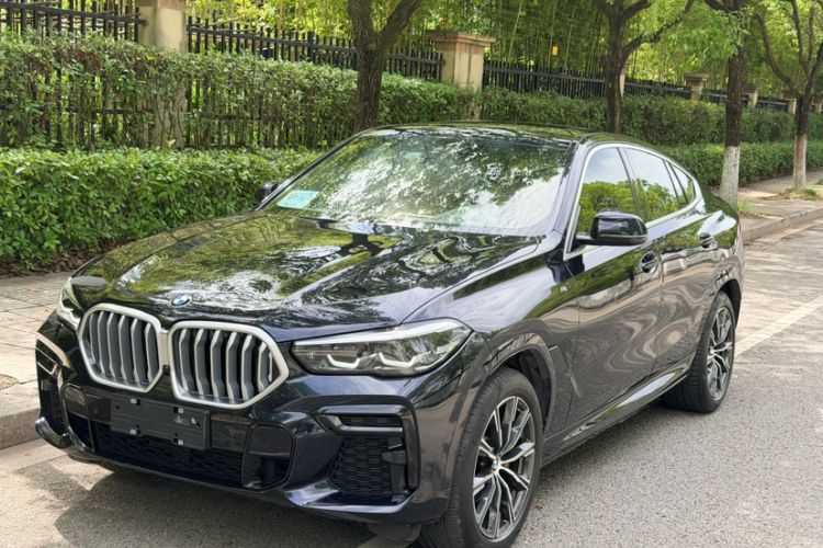 Used BMW X6 2022 xDrive30i M Sport Package
