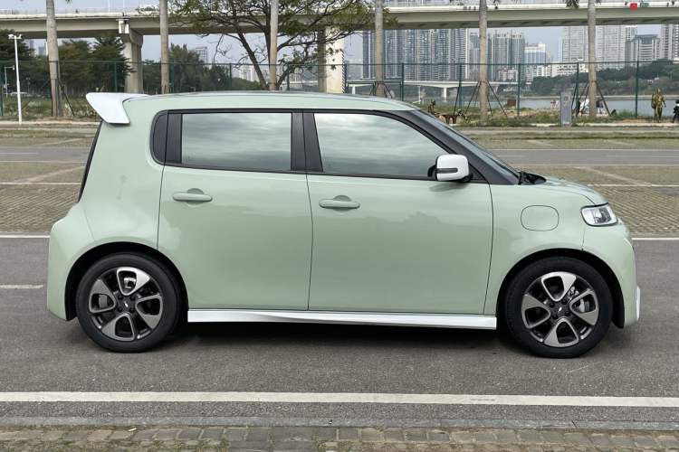 Used ORA White Cat 2022 Xiaoyue Mao Edition 360 km Luxury Model Lithium NMC
