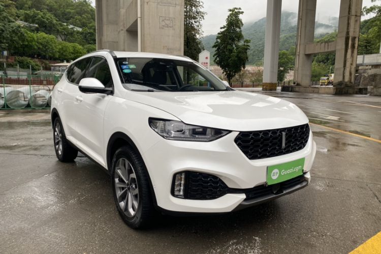 Used Wey VV6 2019 2.0T Two-Wheel-Drive Flagship Version China VI Standard
