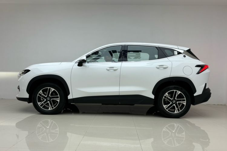 Used  Shanhai L6 2024 1.5TD DHT MAX
