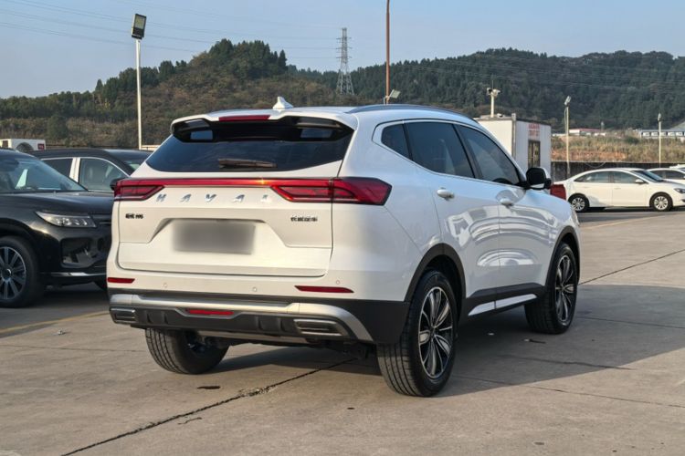 Used Haval H6 2023 National Trend Edition 1.5T Automatic Champion Version