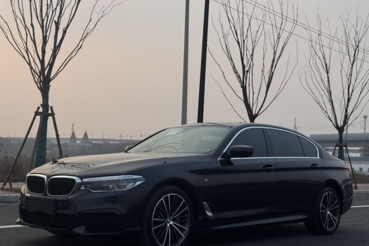 Used BMW 5 Series 2020 530Li Luxury Edition M Sport Package