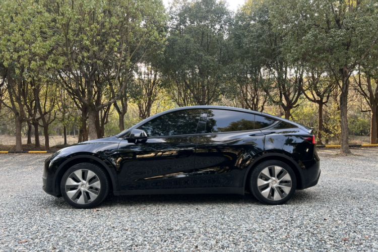 Used Tesla Model Y 2021 Standard Range Rear-Wheel Drive Version
