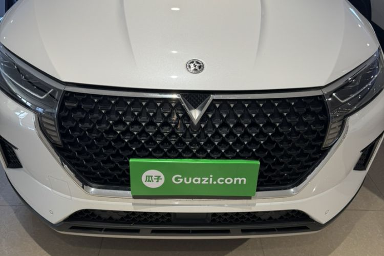 Used Venucia Star 2023 260T Starful Achievement Edition Pro
