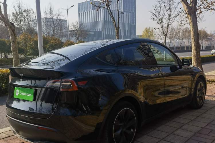 Used Tesla Model Y 2021 Standard Range Rear-Wheel Drive Version
