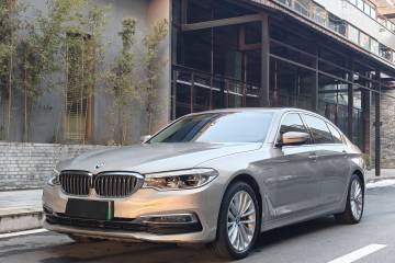 Used BMW 5 Series New Energy 2019 530Le Luxury Package