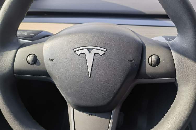 Used Tesla Model Y 2021 Standard Range Rear-Wheel Drive Version
