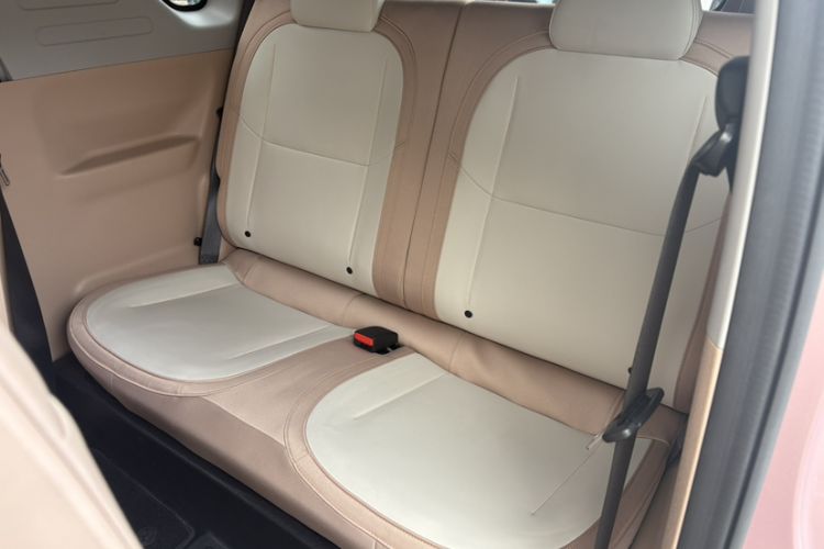 Used  Panda 2023 Panda Mini 200km Endurance Bear