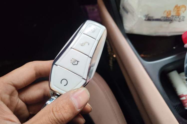 Used Geely Galaxy Geome 2025 310km Dream Edition