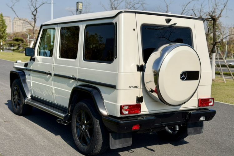 Used Mercedes-Benz G-Class 2010 G 500
