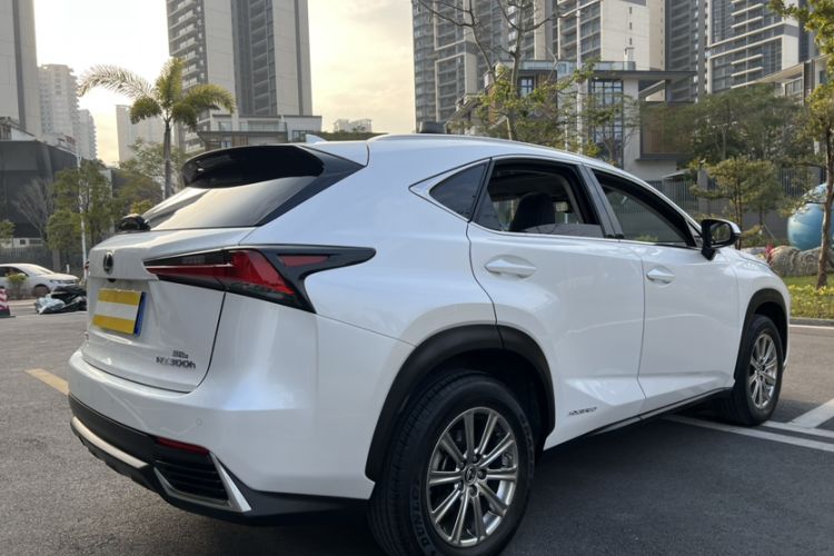Used Lexus NX 2020 300h Front-Drive FENGSHANG Version China VI Standard