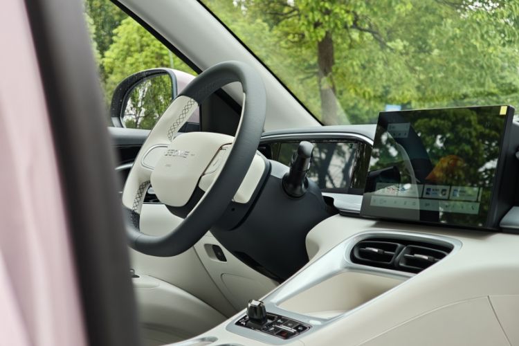 Used  Geome 2025 310km Youth Edition
