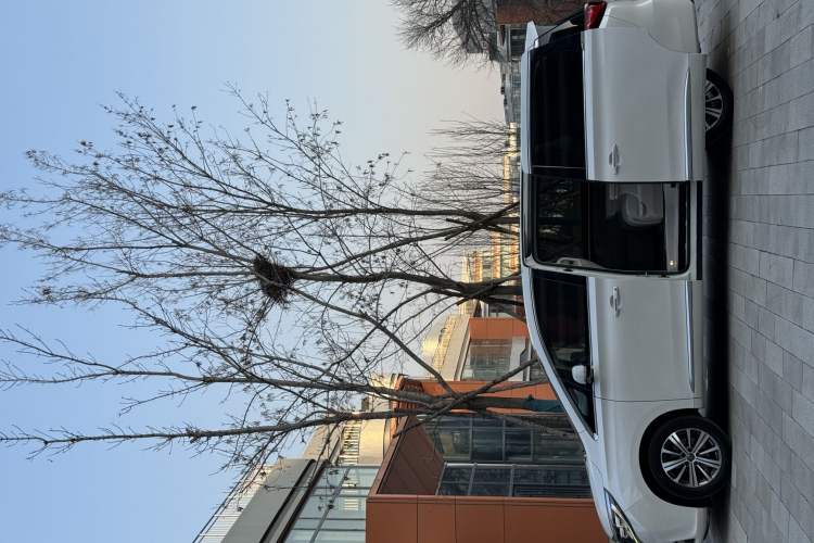 Used GAC Trumpchi M8 2018 320T Luxury Edition