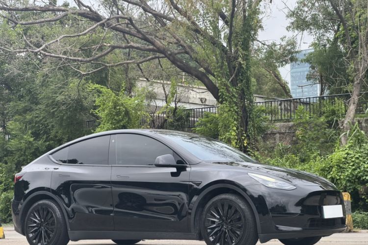 Used Tesla Model Y 2022 Rear-Wheel-Drive Version
