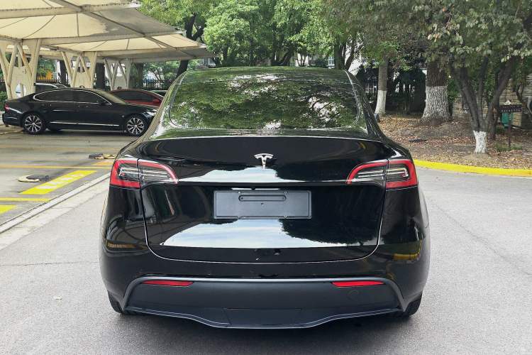 Used Tesla Model Y 2021 Standard Range Rear-Wheel Drive Version
