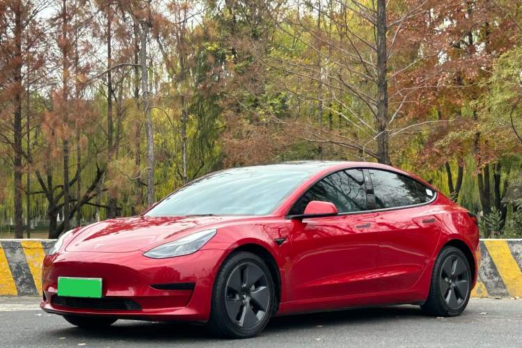Used Tesla Model 3 2021 Standard Range Rear-Drive Upgraded Version
